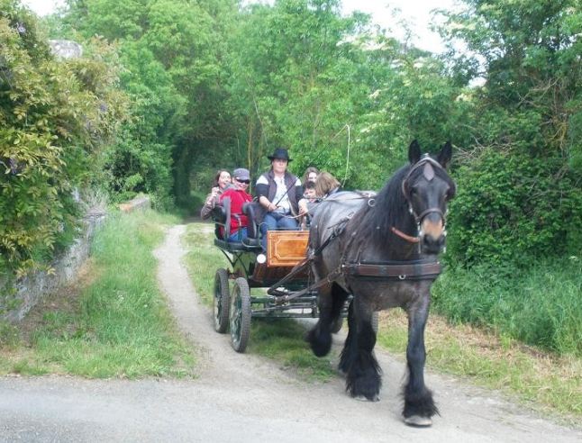 Location de calèche, fiançailles, anniversaire